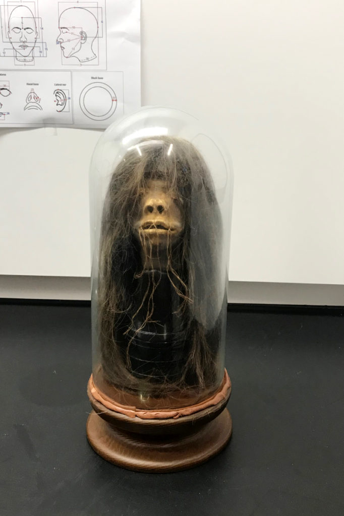 Mercer University Upset Its Amazonian Warrior Shrunked Head Isn't Fake