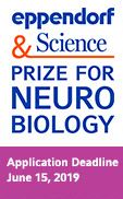 Eppendorf & Science Prize for Neurobiology Entries Now Open