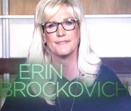 The Guardian Lets Legal Clerk Erin Brockovich Trump Biology, Toxicology, And Chemistry