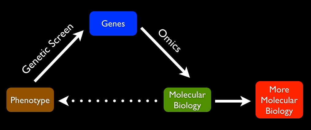 We Still Can't Explain Biology With Molecules