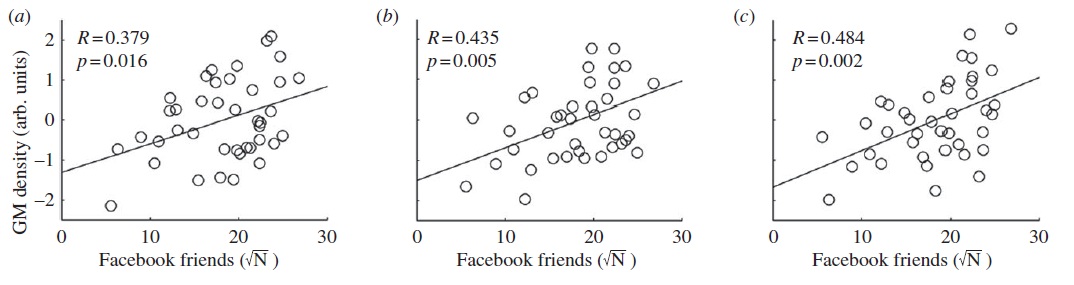 Number Of Facebook Friends Linked To Brain Structures