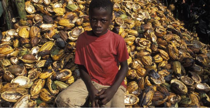 Would You Pay 47% More To Eliminate Child Labor From Your Cocoa?