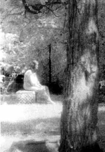 Bachelor's Grove Cemetery Ghost Photo