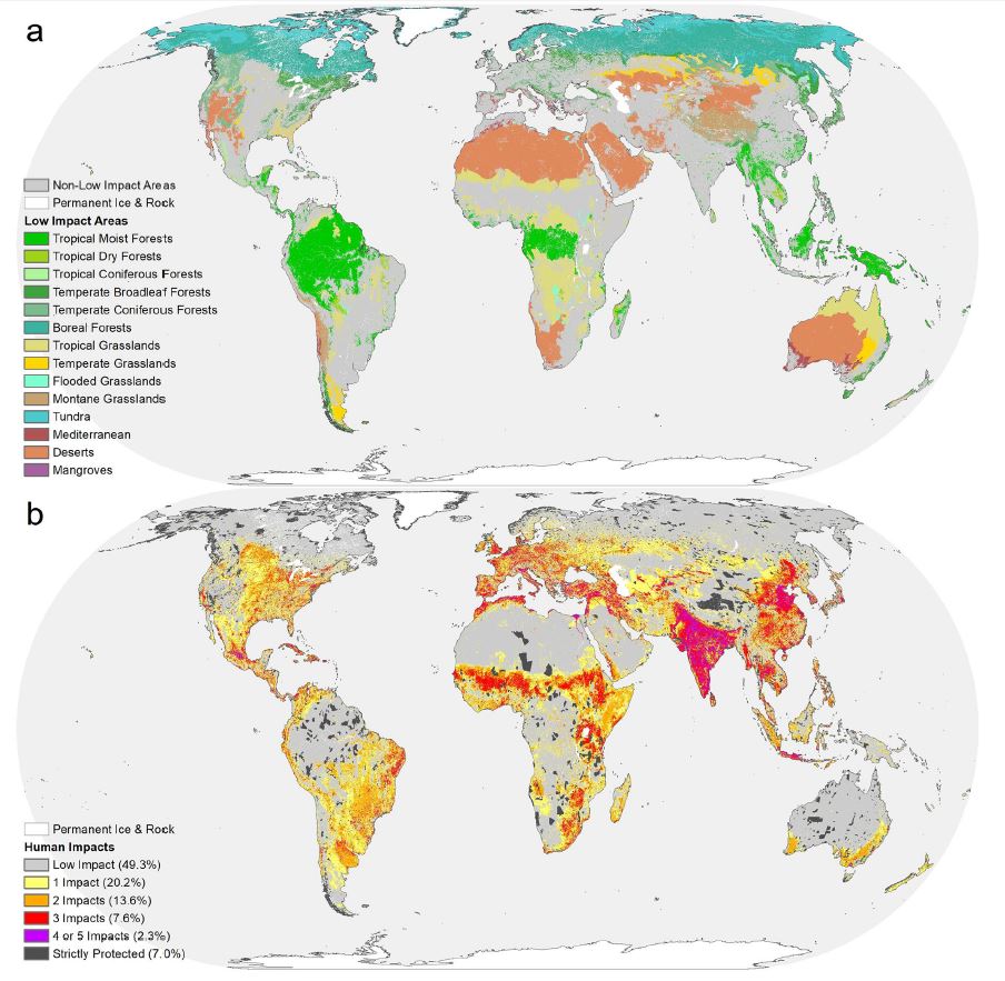 Half Of The World's Non-Ice Land Is Wilderness