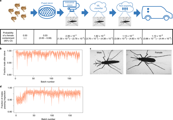 Google Lab-Bred Mosquitoes May Stop Diseases Without Pesticides