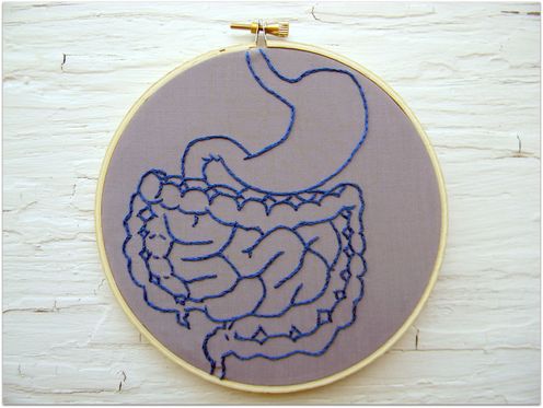 How Gut Bacteria Ensure A Healthy Brain – and Could Play A Role In Treating Depression