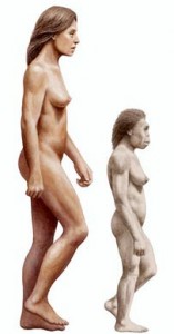 Homo Floresiensis: Hobbit Species Continues To Provoke Questions About Human Evolution