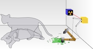 Finally, Schrodinger's Cat Hits A Nobel!