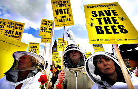 Part II: Bee Deaths And CCD - Flawed Chensheng Lu Harvard Studies Endanger Bees
