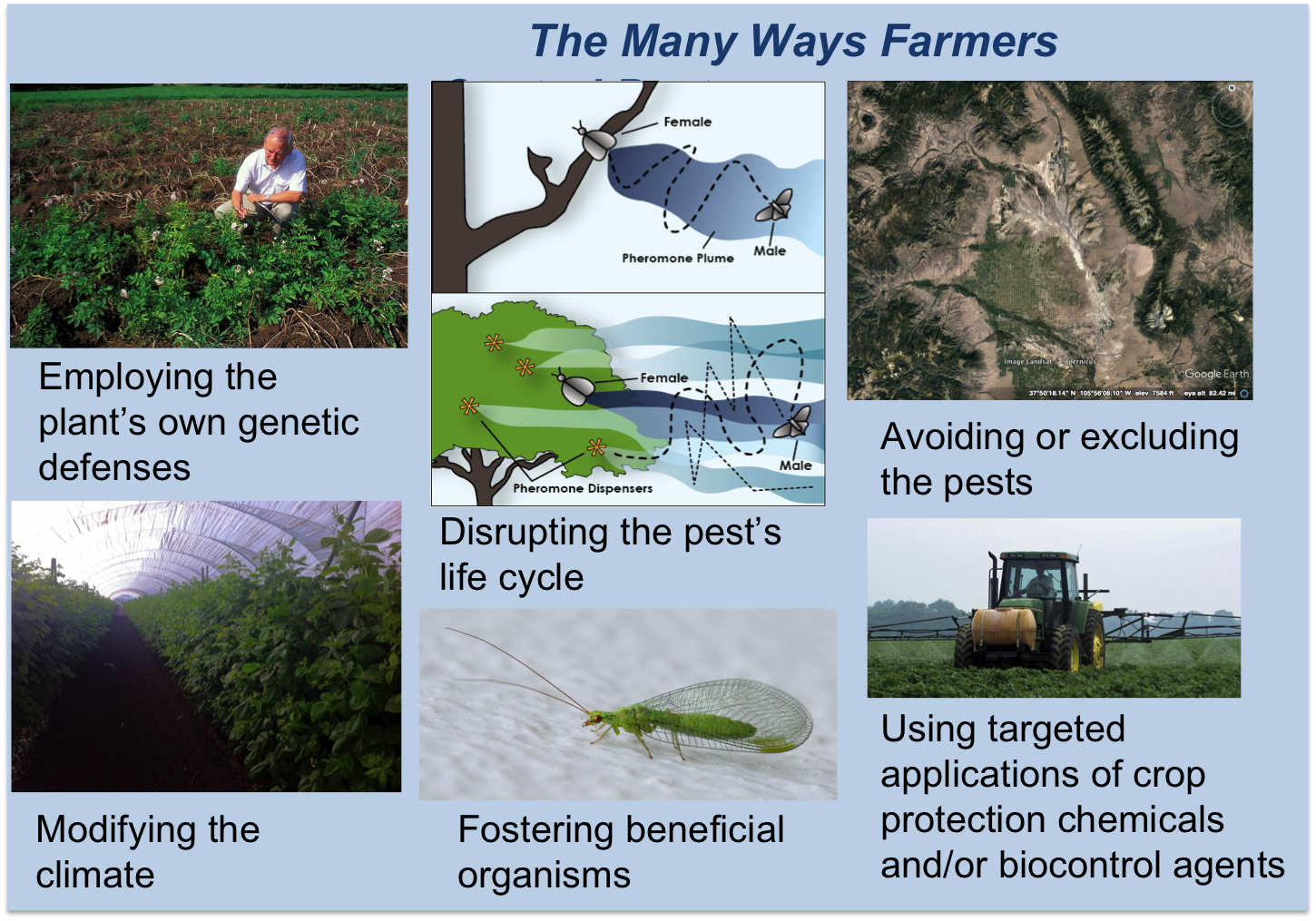 The Many Ways Farmers Control Pests