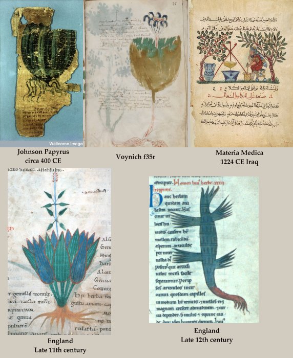 The Voynich Manuscript Part 5 : The Baghdad Connection