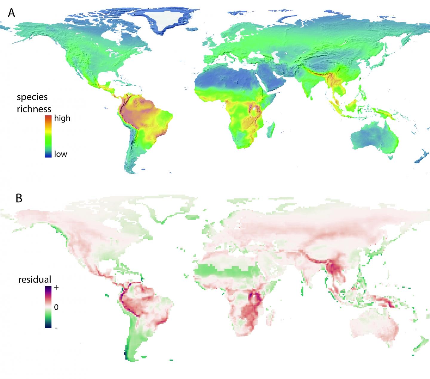 Like Diversity? Thank Mountains