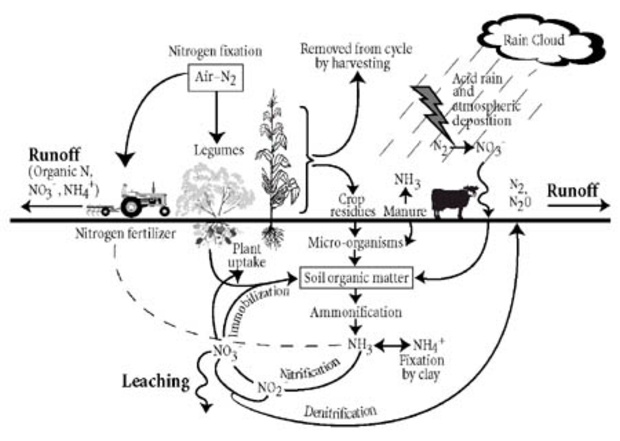 How To Fix Our Nitrogen Emergency