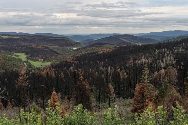 The US Government Caused The Calf Canyon/Hermits Peak Fire - And The Poisoned Water Aftermath