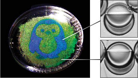 Make Iridescent Color From Clear Drops Using Only Light - No Inks Or Dyes Needed