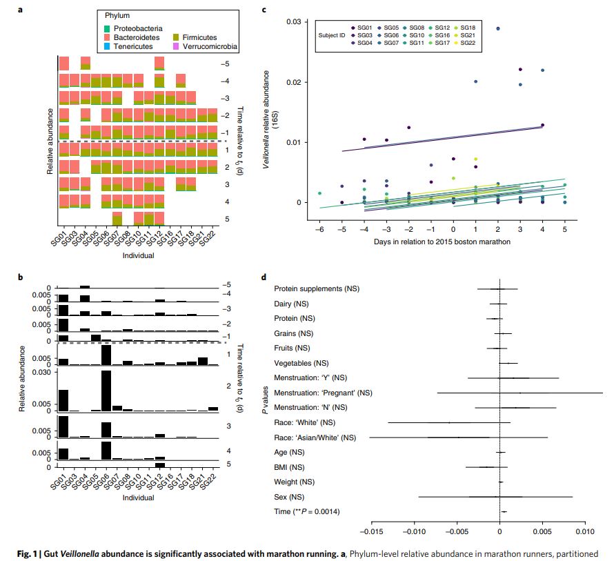 Attention Athletes: Get Ready For Performance-Enhancing Bacteria Probiotic Microbiome Omics Hype