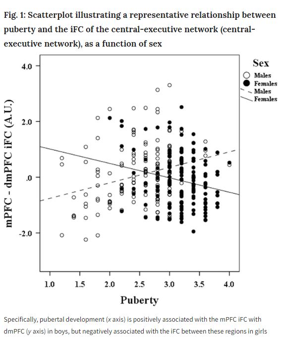 At Puberty, Brain Networks Related To Mood Problems Develop Differently In Males And Females