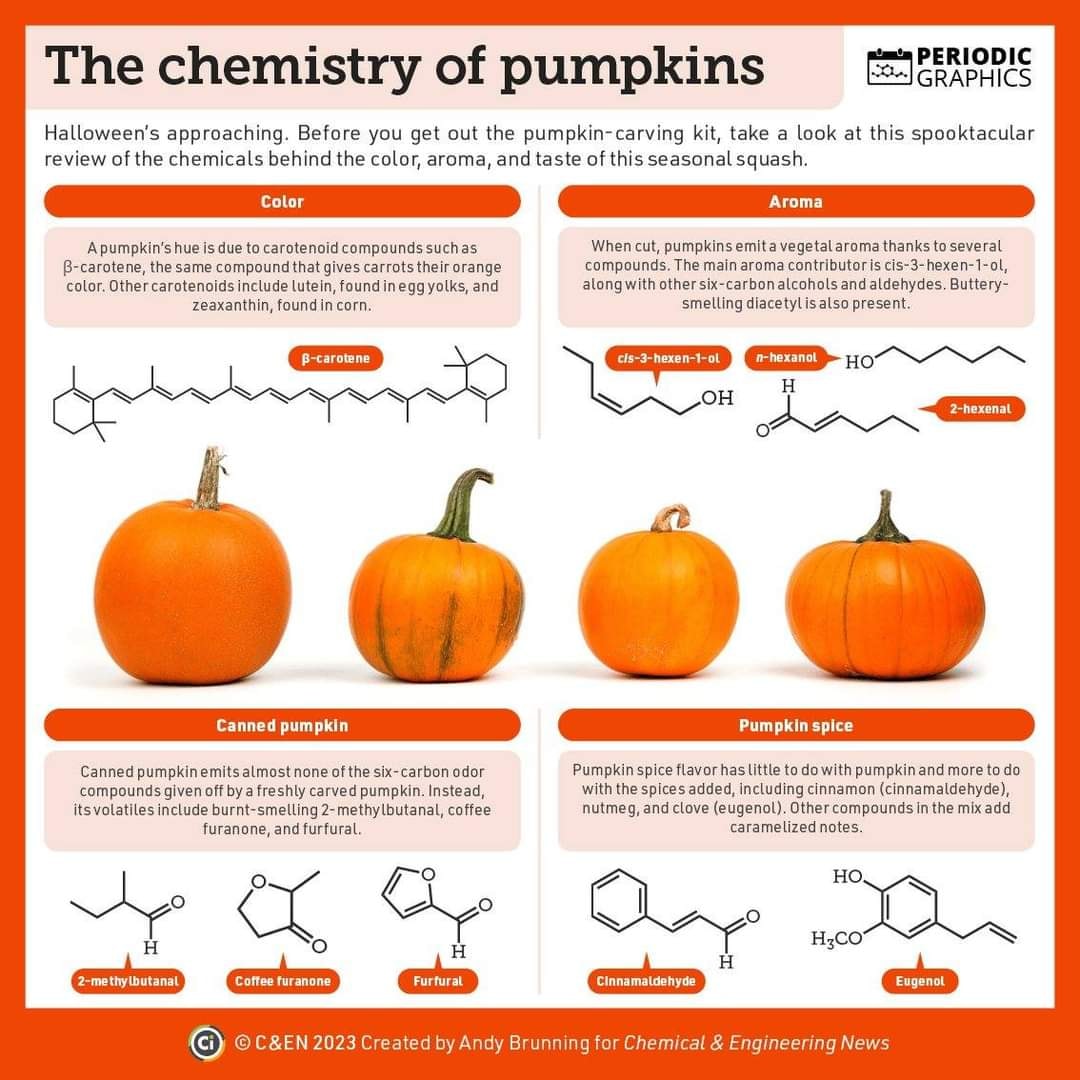 The Toxic Chemicals In Your Organic Pumpkin: Happy Halloween!