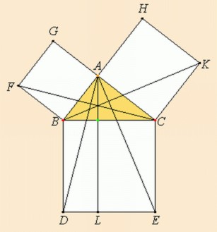 Mathematics For Amphibians