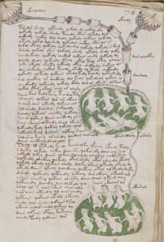 The Voynich Manuscript : Dating An Enigma