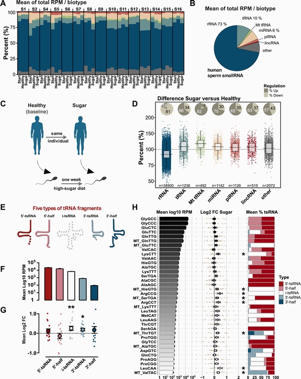 Diet Influences Sperm Motility After Two Weeks - Especially High Sugar