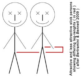 Measuring Leg-Length Attractiveness (Using Stick Figures)