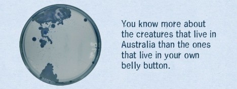 Belly Button Biology