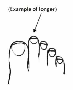 Toe Lengths - The Implications