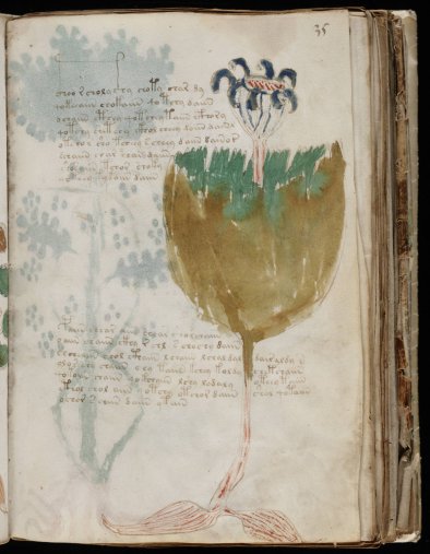 The Voynich Manuscript Unzipped