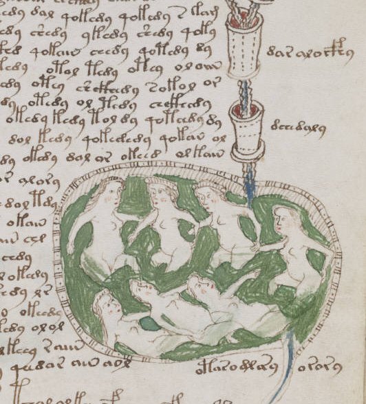 Patterns of Latin in the Voynich Manuscript
