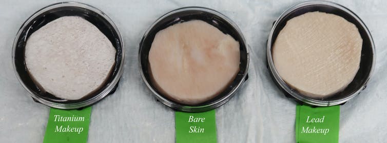 Three petri dishes with bare pigskin, pigskin with titanium-based makeup and pigskin with lead makeup.