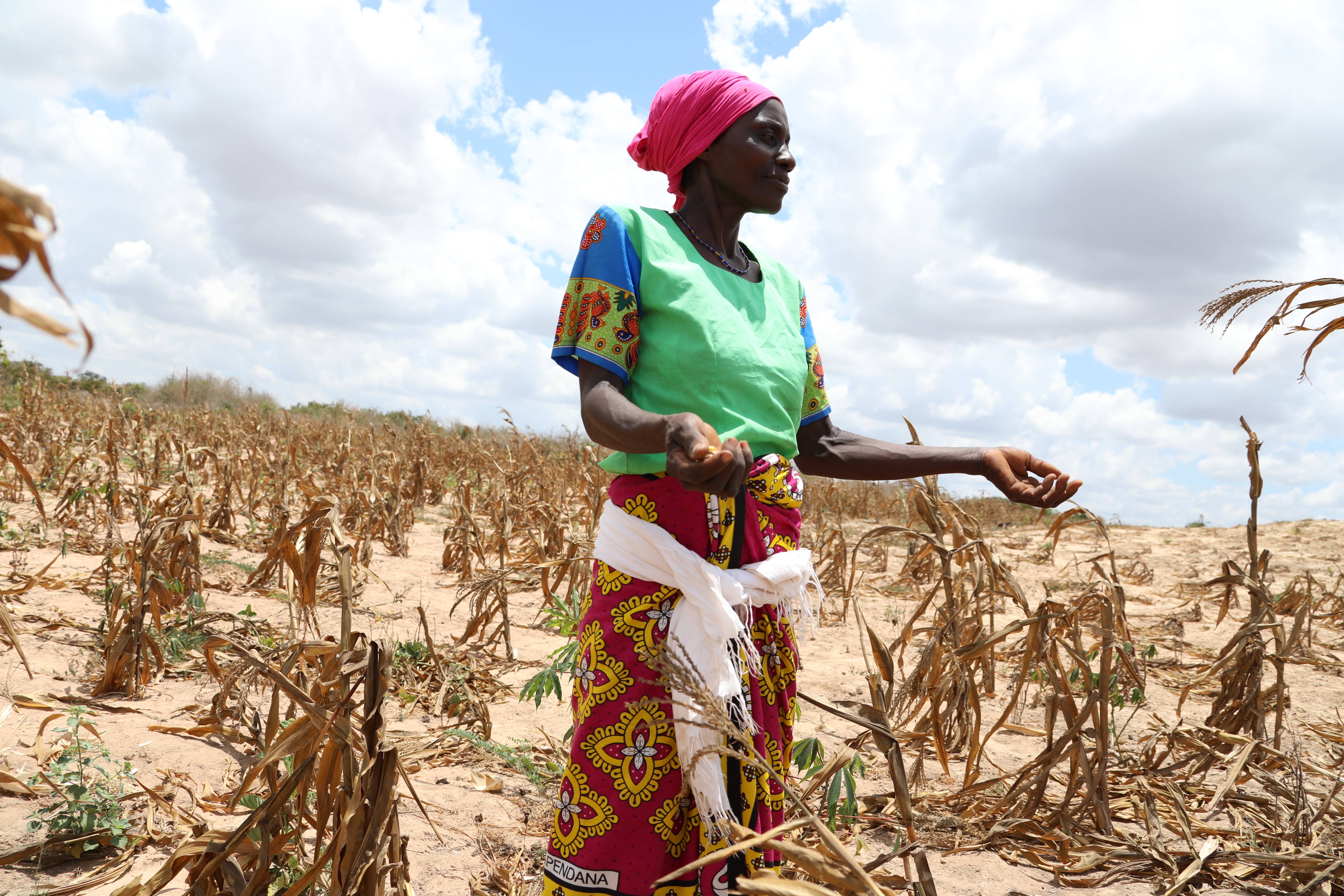 El 60% de África se enfrenta a una grave inseguridad alimentaria y el colonialismo europeo es la principal causa