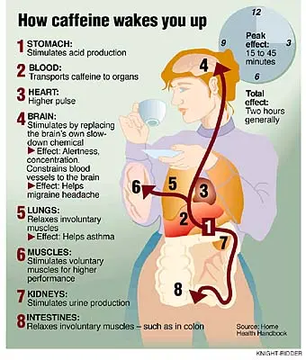 how caffeine wakes you up how caffeine wakes you up