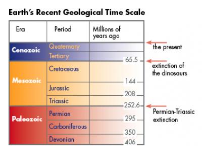 From Brachiopods To Bivalves: Did CO2 Cause The Worst Extinction In ...
