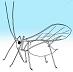 Somnolent Aphid's picture