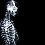 Chris Camargo's picture