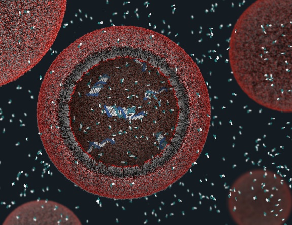 Could These Protocells Tell Us About Earth's Earliest Cells?