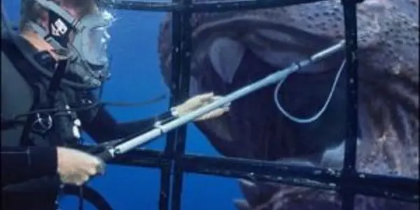 A Candidate For A Darwin Award: A 370Ma Placoderm