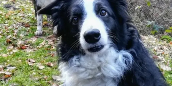Featured Image