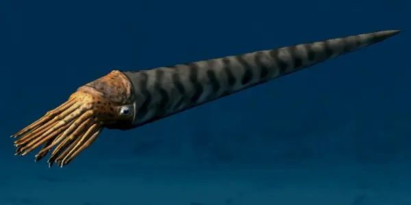 A Nautilus Bedtime Story