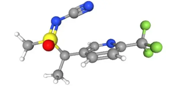 Featured Image