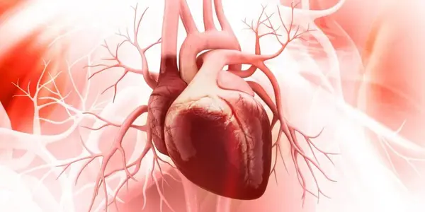 Featured Image