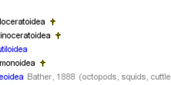 Who Are The Ancestors Of Modern Squid?