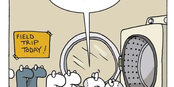 Is There An Optimum Solution To The Missing Sock Problem? Cosmic Embryo #7