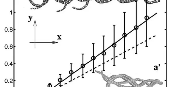 The Mechanics Of Slithering