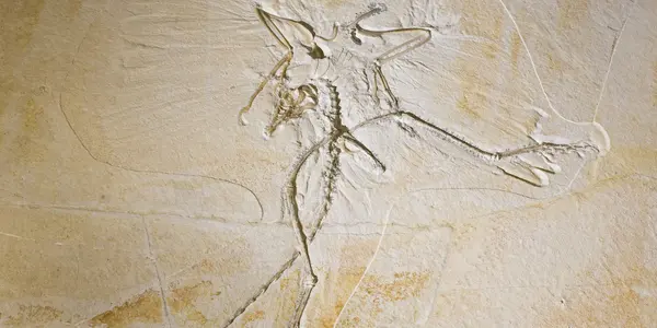 Reading Between The Lines Of Prehistory and History with Synchrotron X-ray