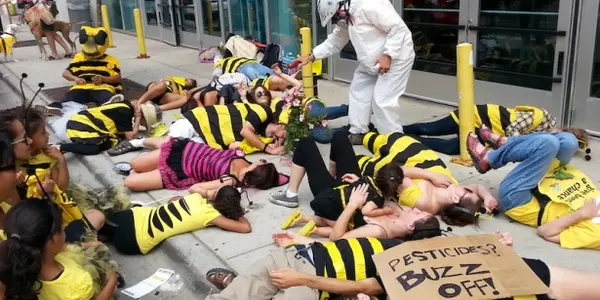 Neonics: Environmental Groups Get 219,000 On A Petition Against EPA Science
