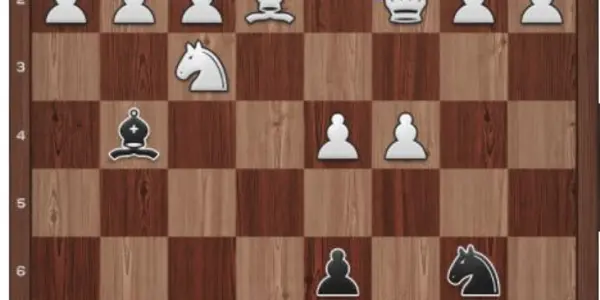 Domination In Chess: A Miniature