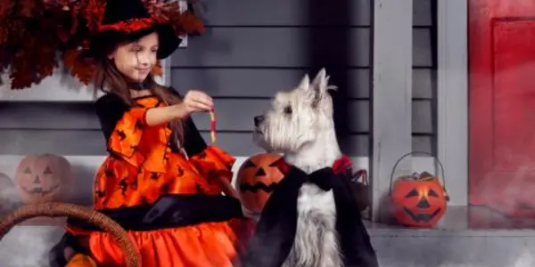 Absolute Vs Relative Risk: Why Parents Shouldn't Worry About Kids Walking On Halloween