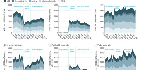 The COVID-19 Pandemic Led To 25% More Mental Health Spending On Youths